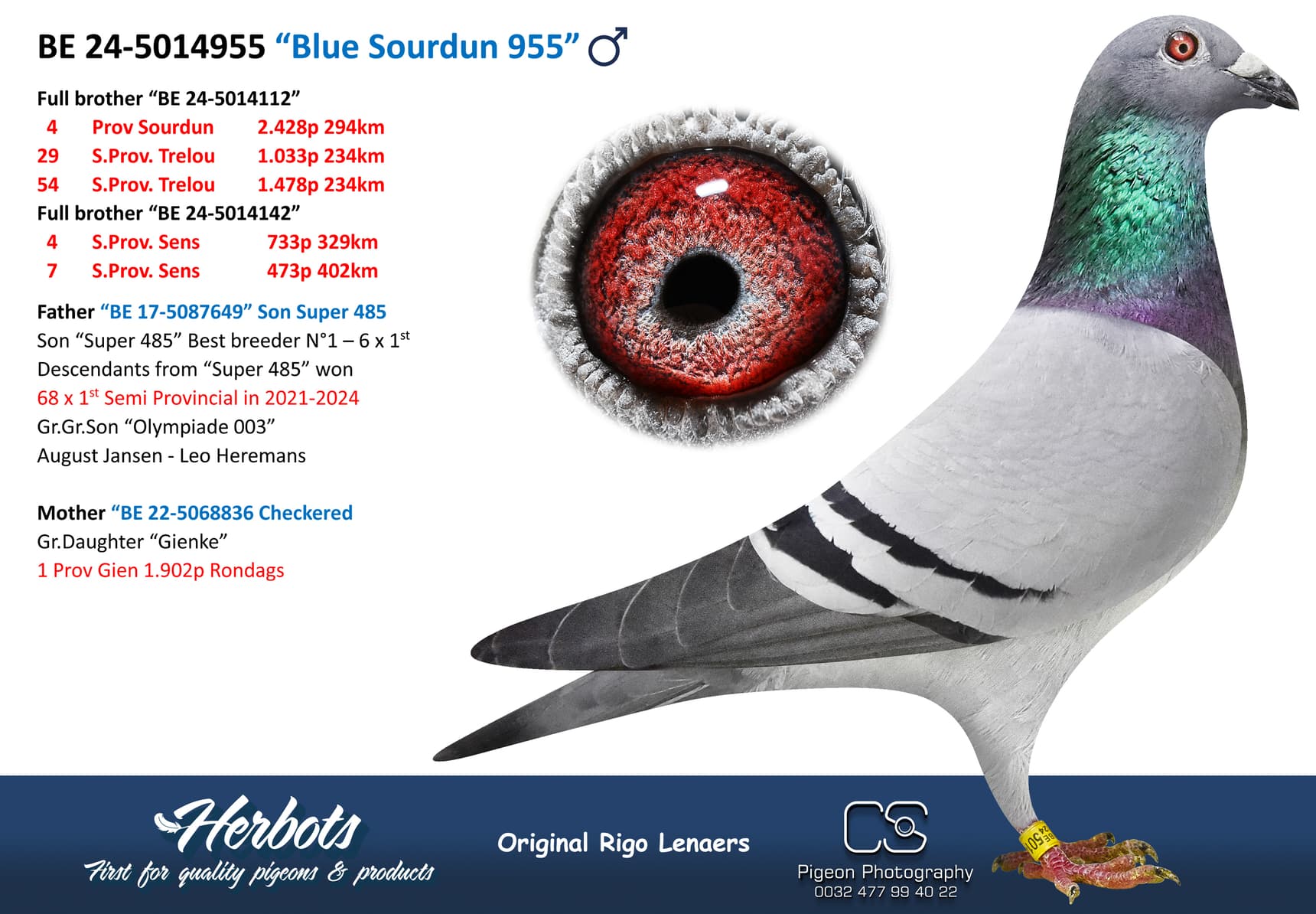 “Blue Sourdun 955”