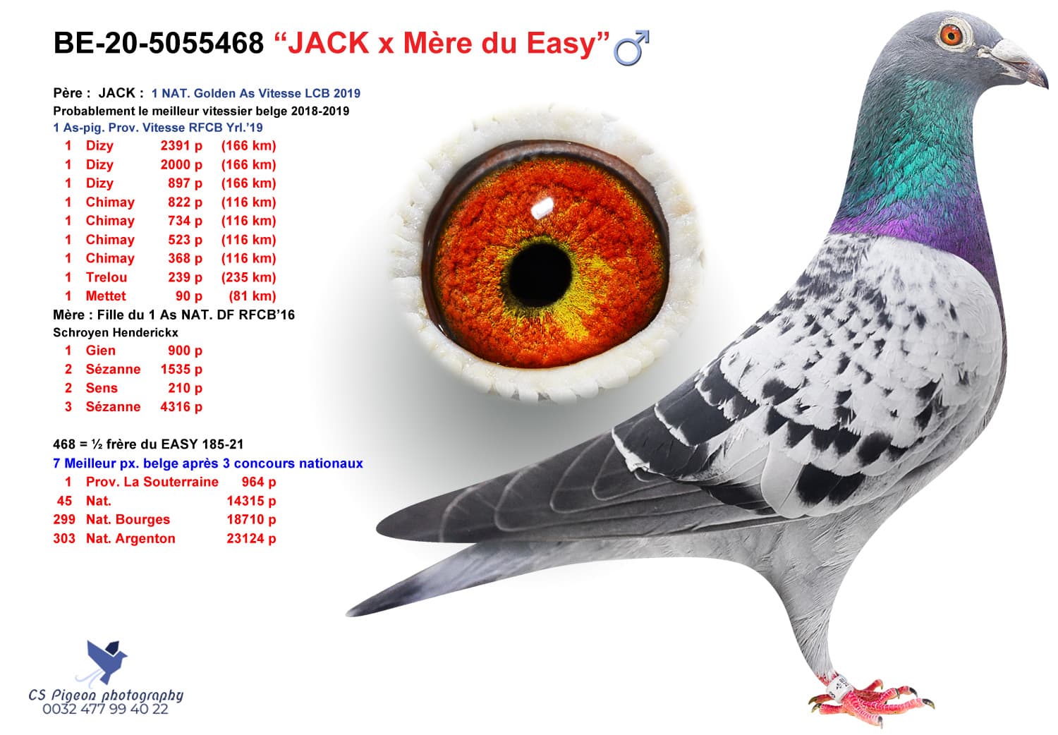 pigeon: “JACK x Mère du EASY”