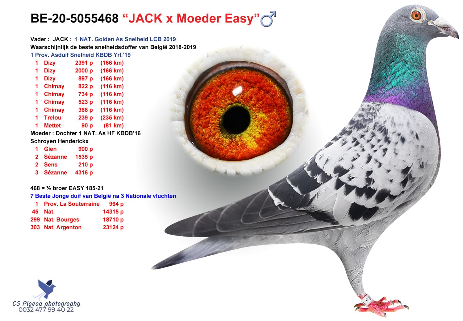 pigeon: “JACK x Moeder EASY”