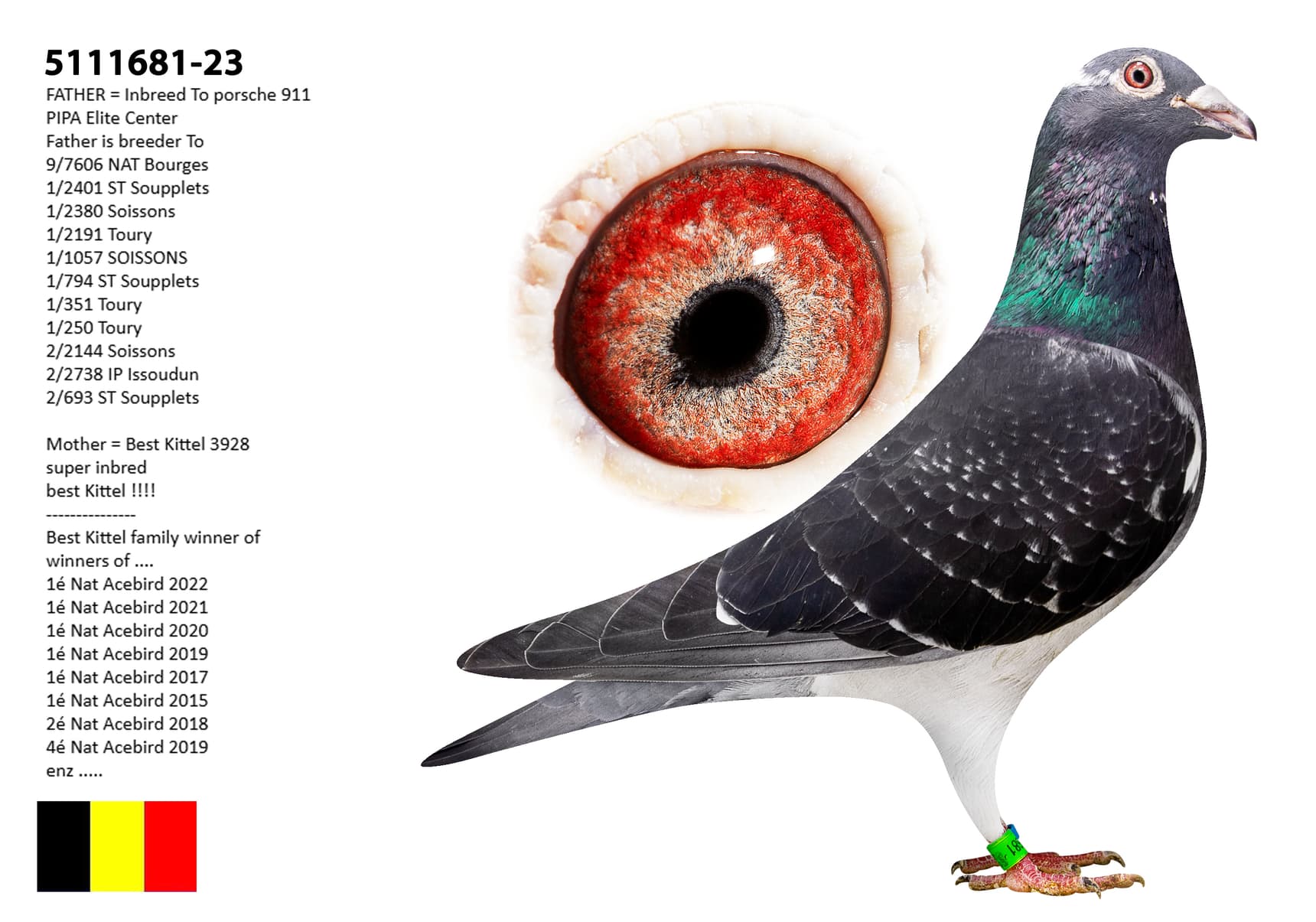 "Super inbred Best Kittel"