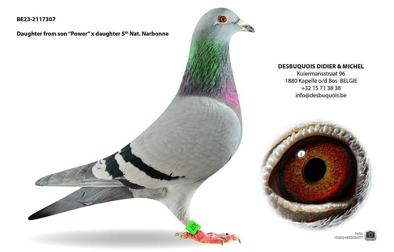 "Granddaughter Power"