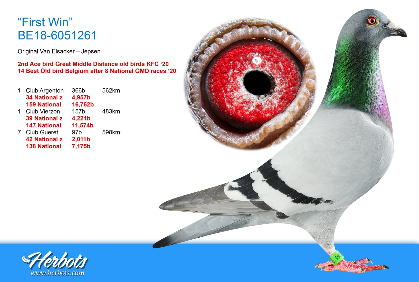 pigeon: undefined