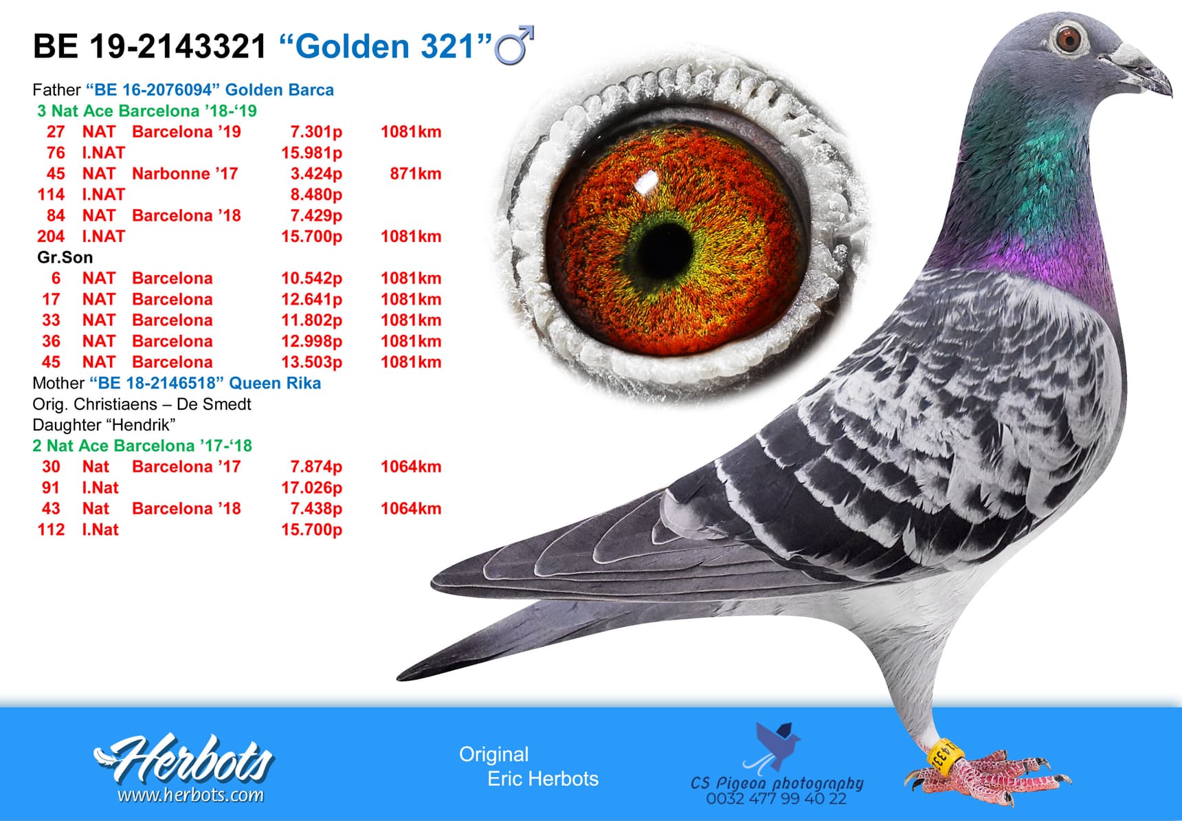 pigeon: "Golden 321"