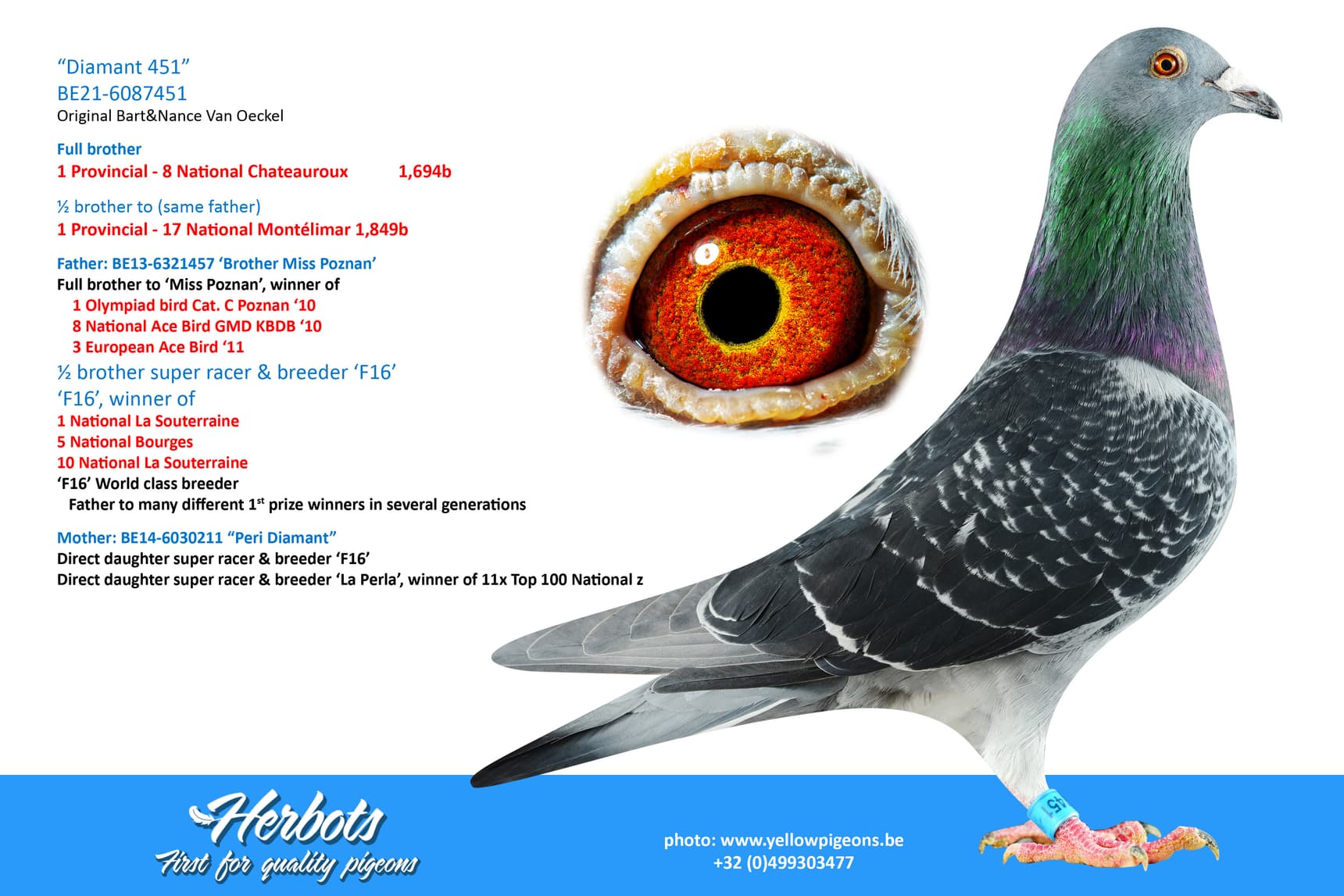 pigeon: “Diamant 451”