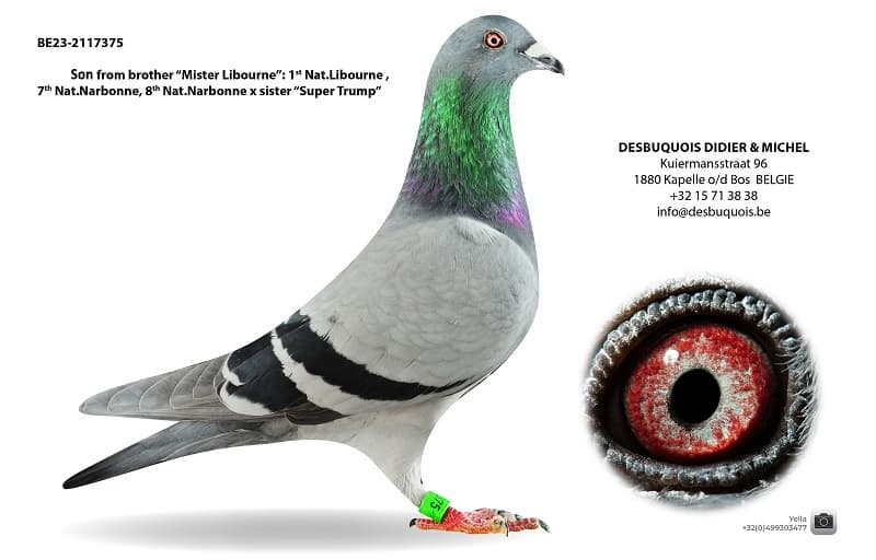 "Son brother Libourne"