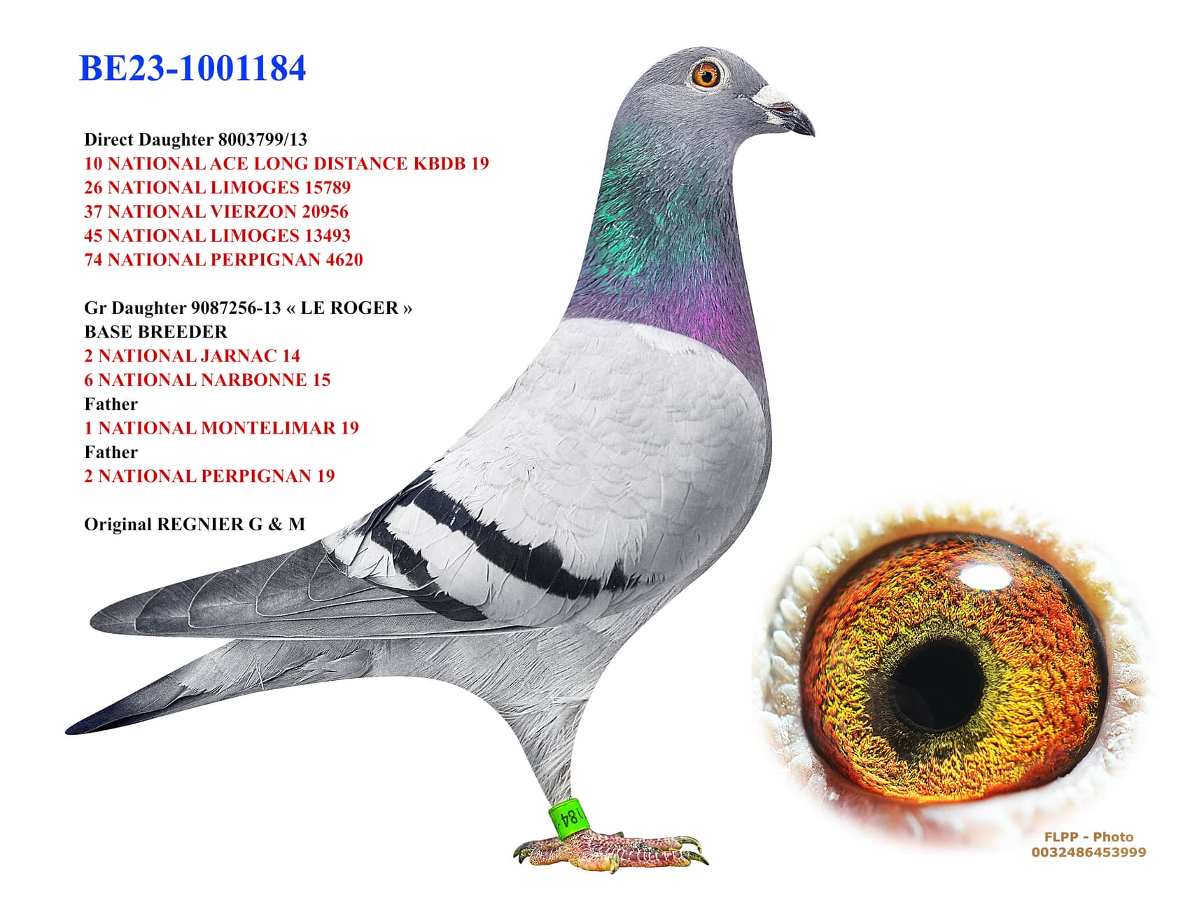 Dtr. 10 NATIONAL ACE LONG DISTANCE KBDB 19