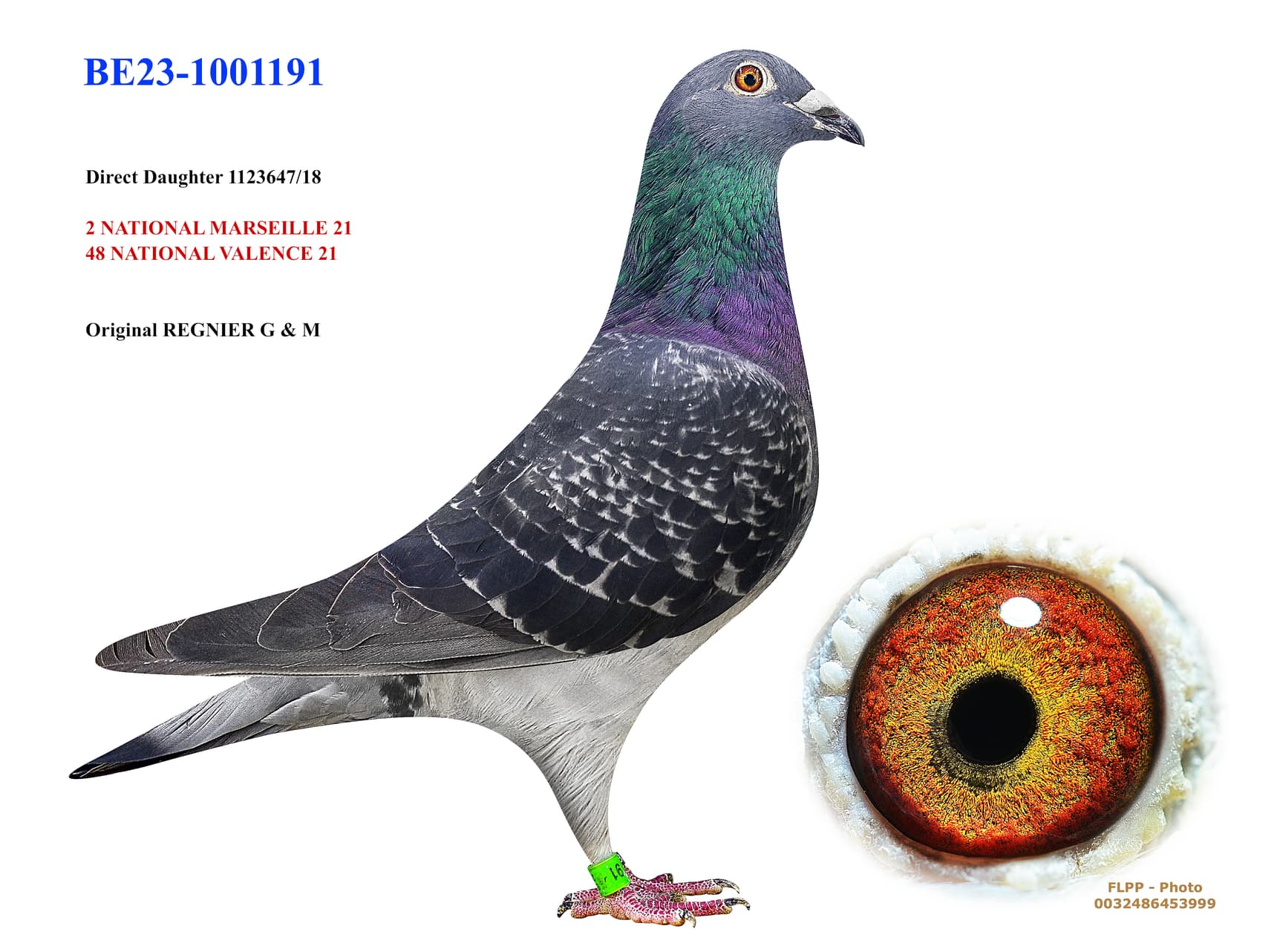 Dtr. 2 NATIONAL MARSEILLE