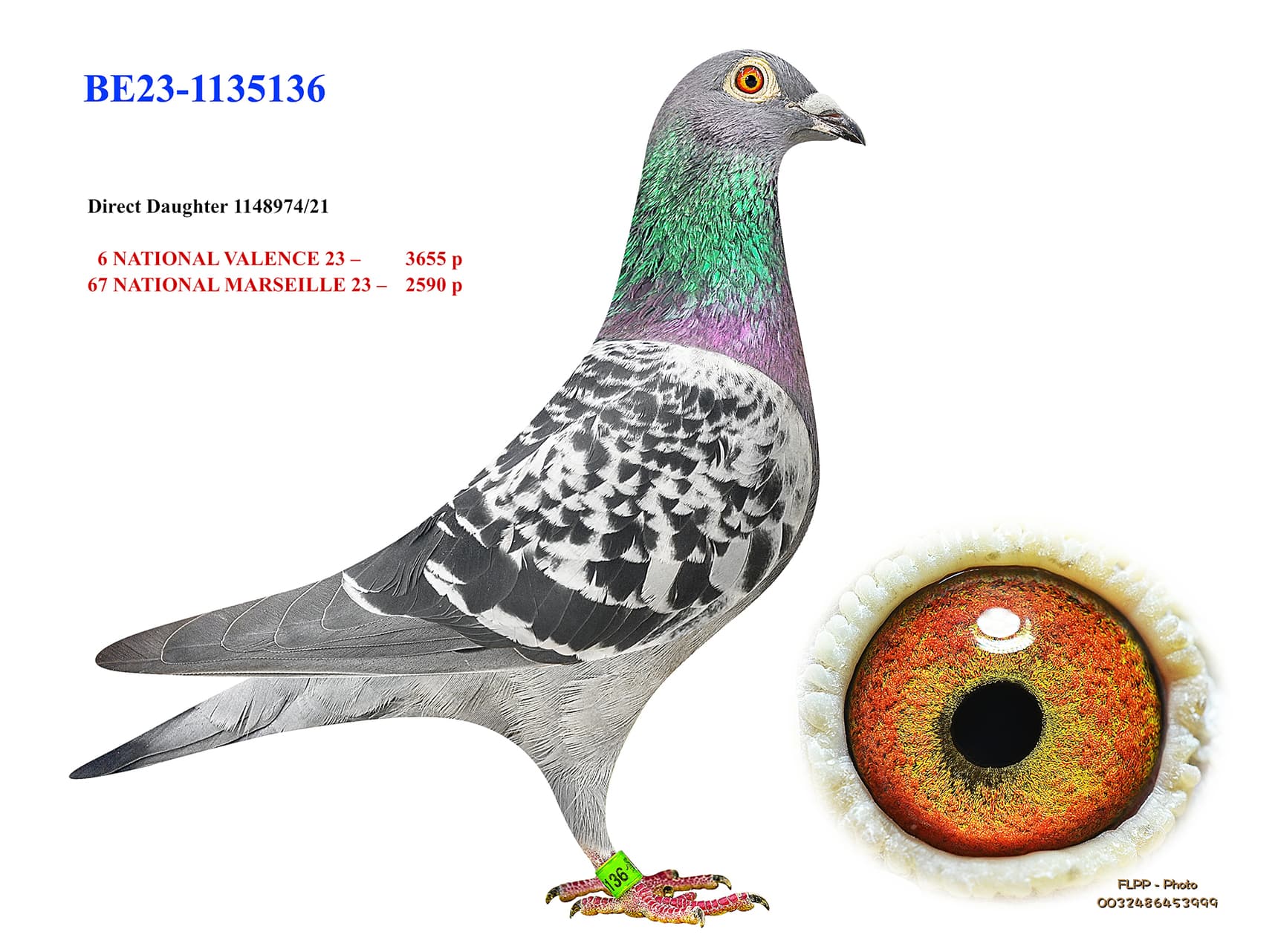 Daughter 6 Nat. Valence