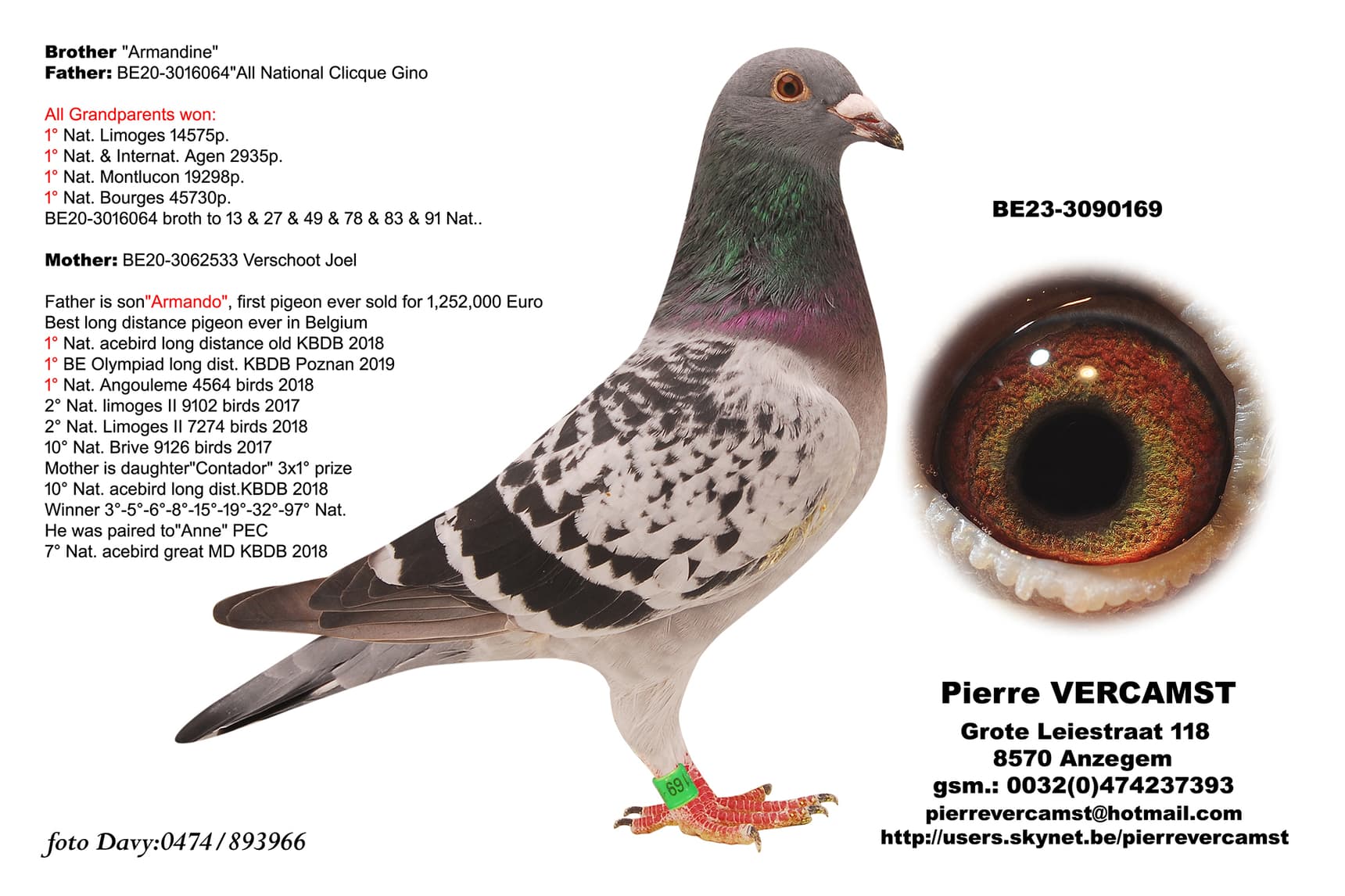 "Prince Armando 169"