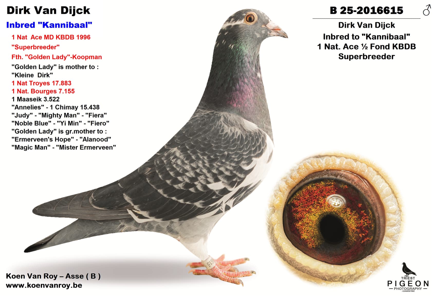 Dirk Van Dijck Inbred "Kannibaal"