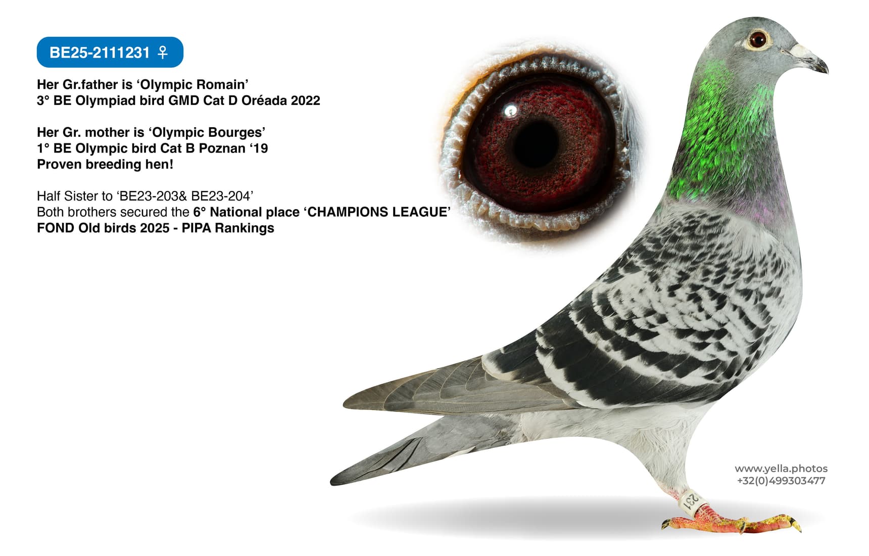 Granddaughter 'Olympic Romain'