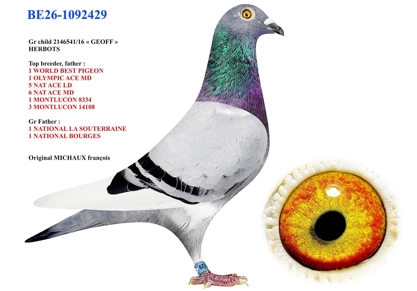 Gr child «GEOF»
