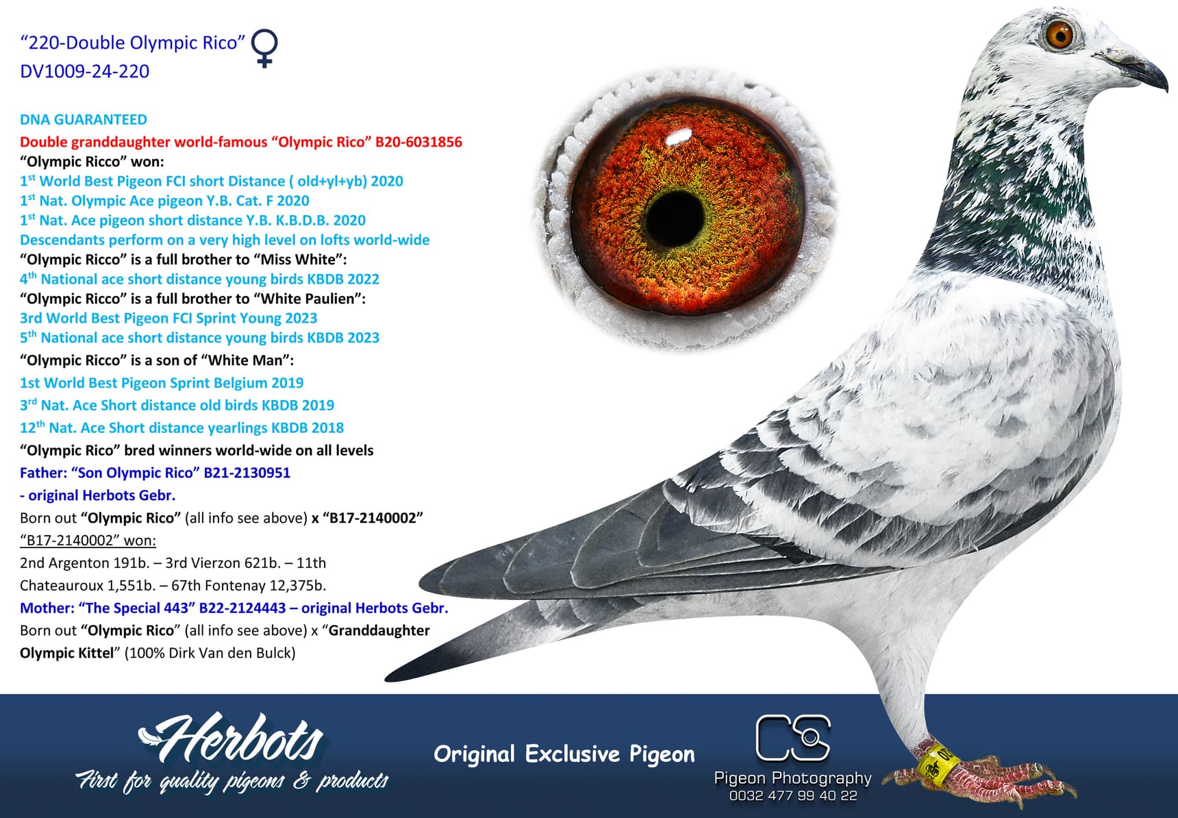 pigeon: “220-Double Olympic Rico”