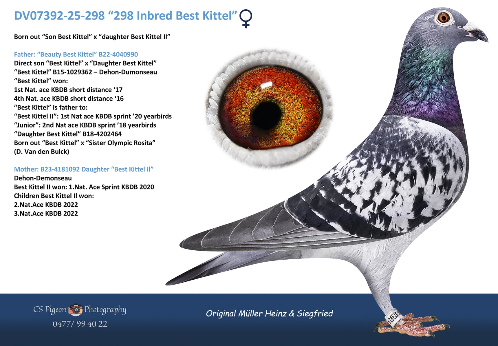 "298 Inbred Best Kittel"