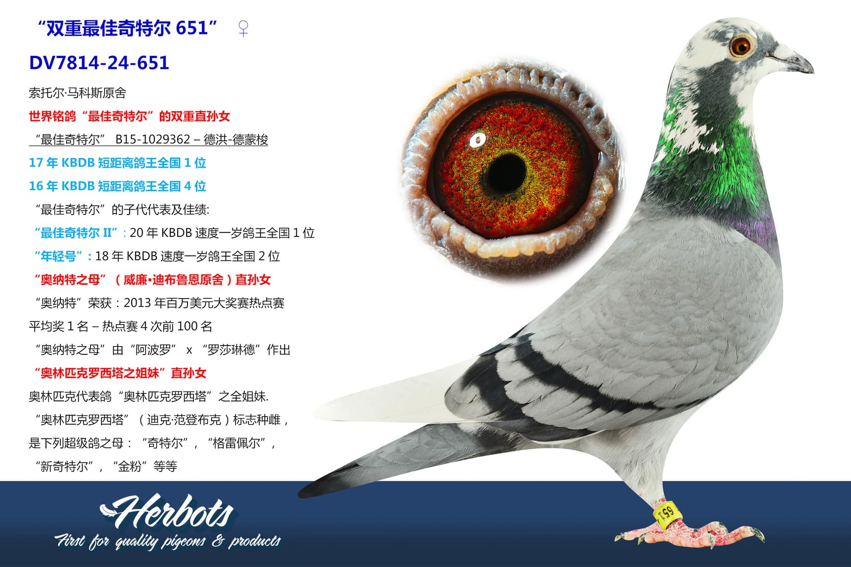 pigeon: undefined