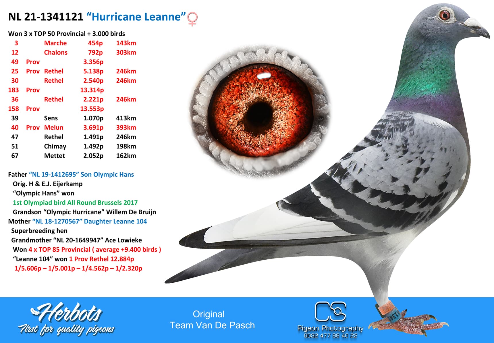 pigeon: “Hurricane Leanne”