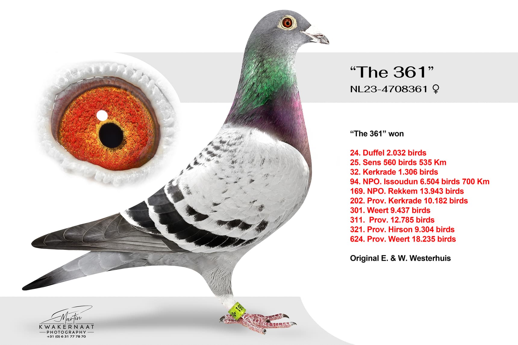 ‘The 361’