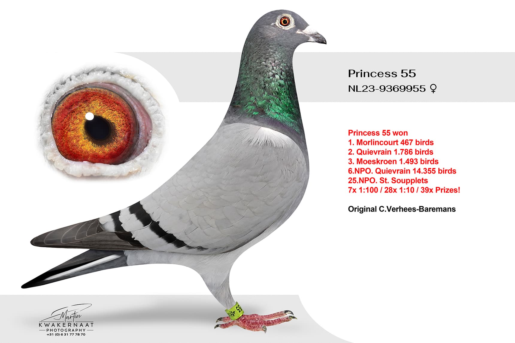 "Princess 55"