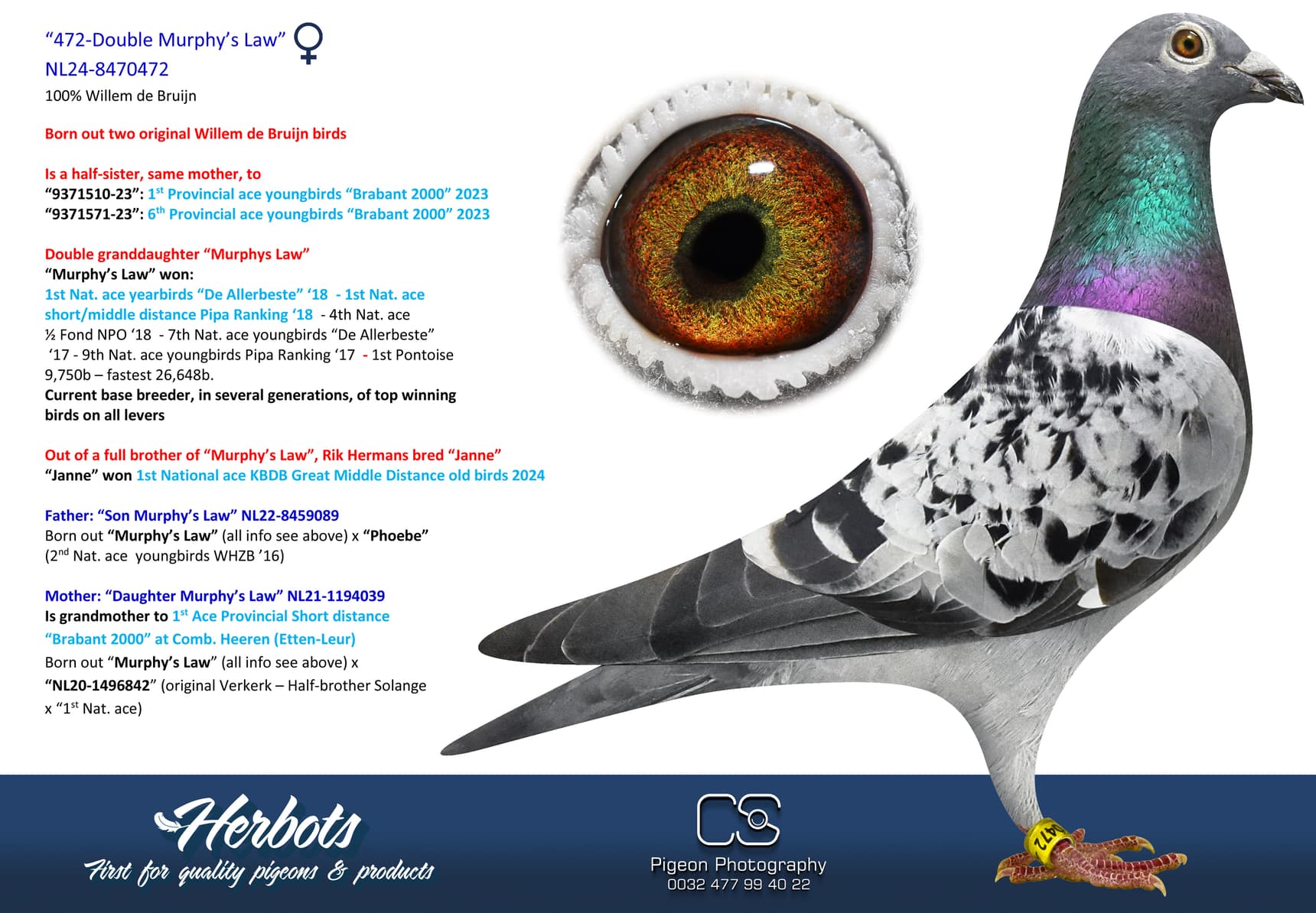 pigeon: “472-Double Murphy’s Law”