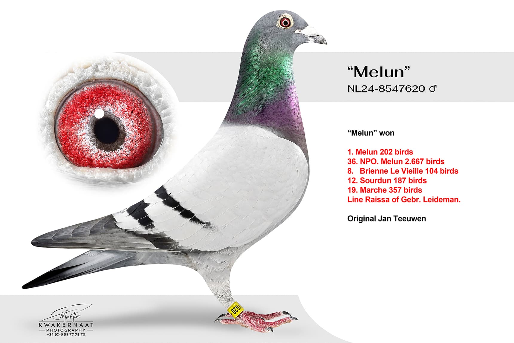 "Melun"