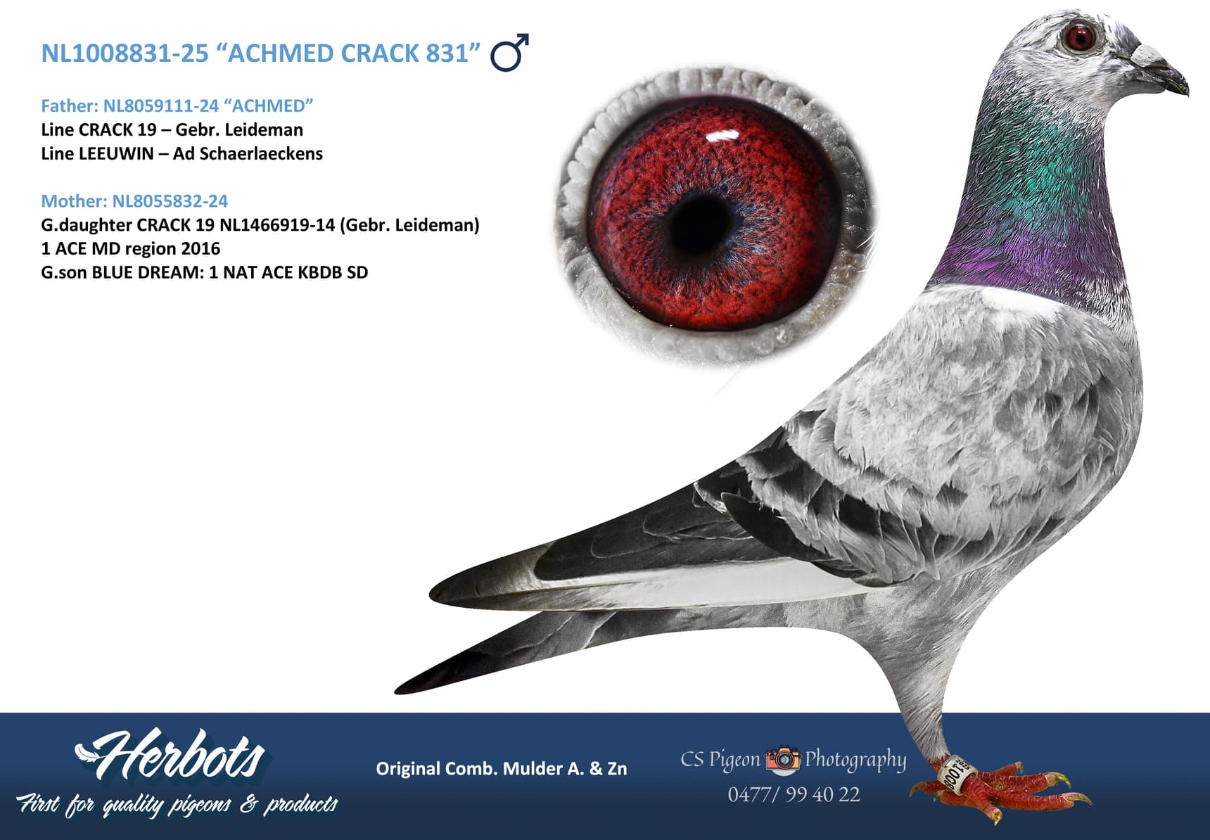 “ACHMED CRACK 831”