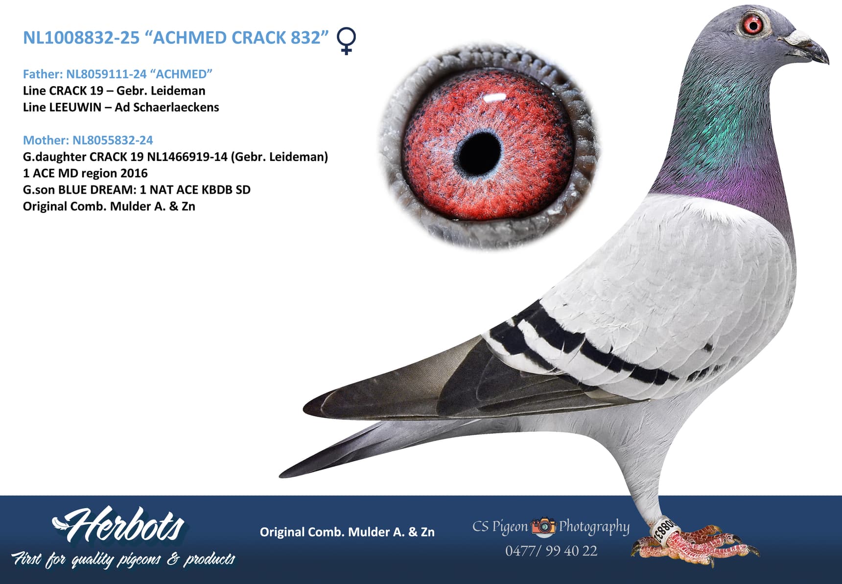 “ACHMED CRACK 832”