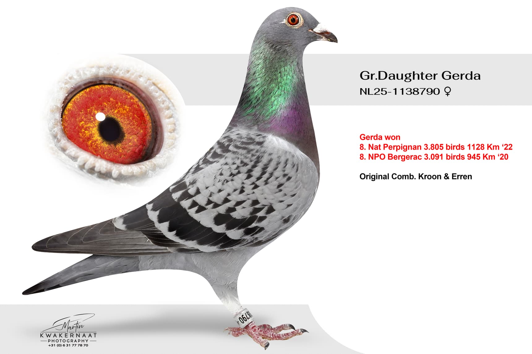 ‘Gr.Daughter Gerda’