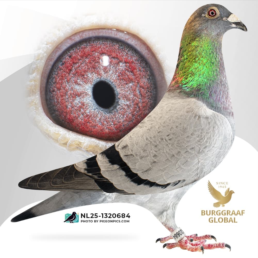 “New Gen Porsche 684”