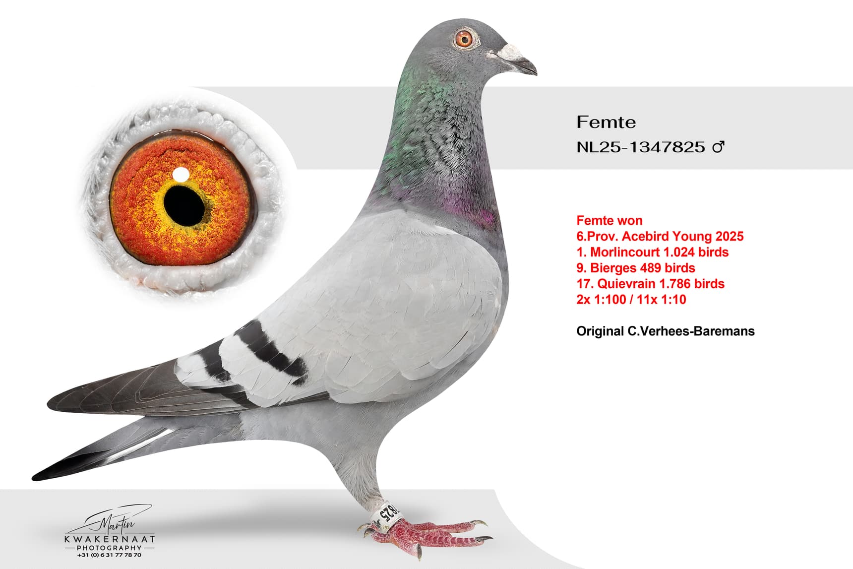 "Femte"