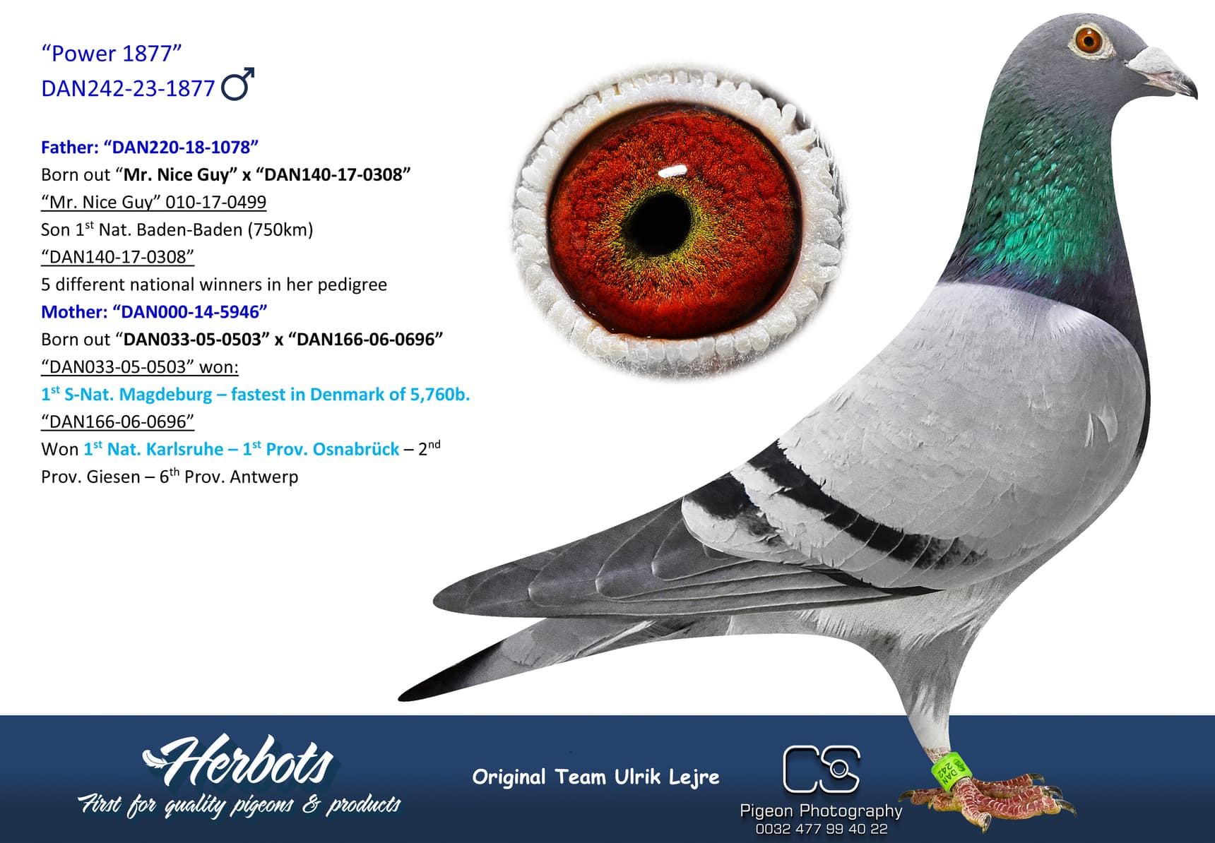 pigeon: “Power 1877”