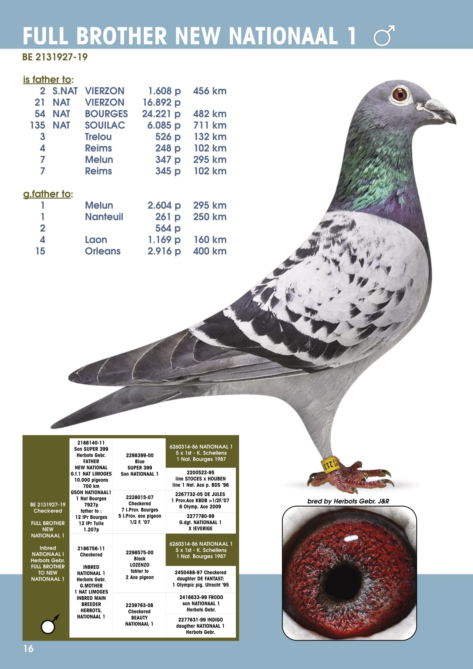 Brother New Nationaal I