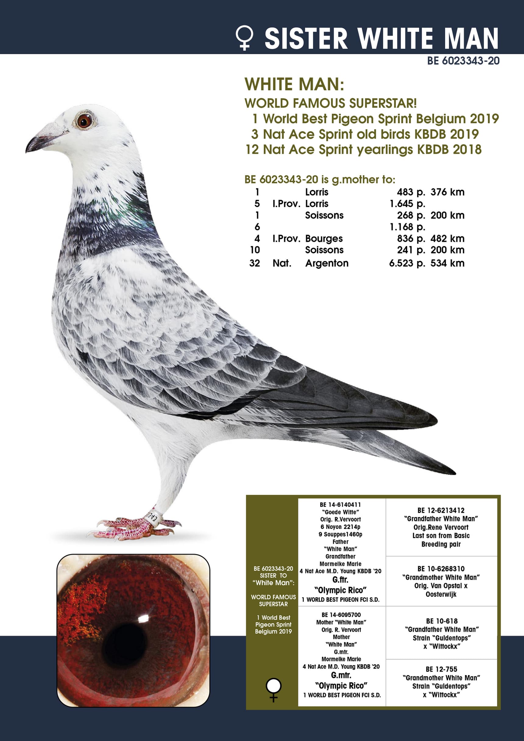 343-sister White Man